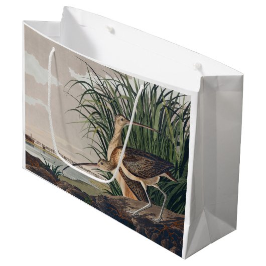 Audubon langsnavelige krulvogel groot cadeauzakje (Voorkant Gekanteld)