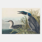 Audubon langsnavelige krulvogel inpakpapier vel (Voorkant 2)