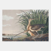 Audubon langsnavelige krulvogel inpakpapier vel (Voorkant)
