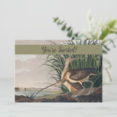 Audubon langsnavelige krulvogel kaart (Staand voorkant)