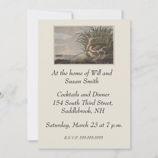 Audubon langsnavelige krulvogel kaart (Achterkant)