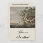 Audubon langsnavelige krulvogel kaart (Voorkant / Achterkant)