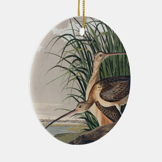 Audubon langsnavelige krulvogel keramisch ornament (Rechts)