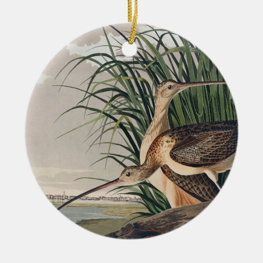 Audubon langsnavelige krulvogel keramisch ornament (Voorkant)