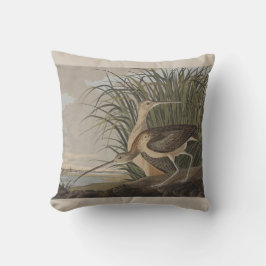 Audubon langsnavelige krulvogel kussen