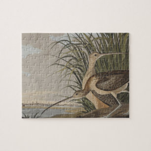 Audubon langsnavelige krulvogel legpuzzel