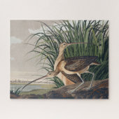 Audubon langsnavelige krulvogel legpuzzel (Horizontaal)