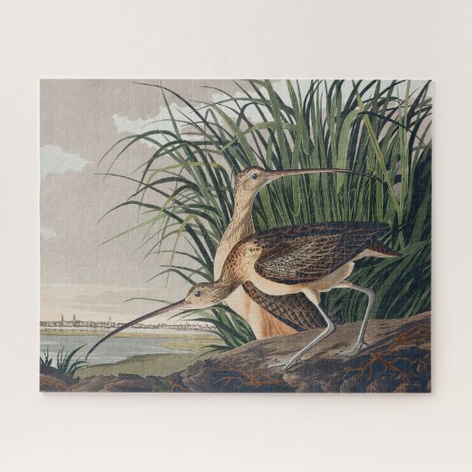 Audubon langsnavelige krulvogel legpuzzel (Horizontaal)