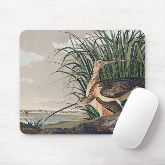 Audubon langsnavelige krulvogel muismat (Met muis)