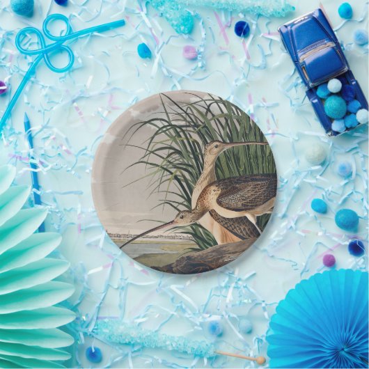 Audubon langsnavelige krulvogel papieren bordje (Feest)