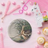 Audubon langsnavelige krulvogel papieren bordje (Feest)