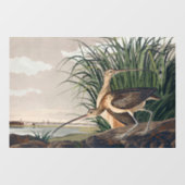 Audubon langsnavelige krulvogel raamsticker (Vel)