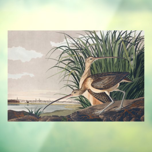 Audubon langsnavelige krulvogel raamsticker (Vel 3)