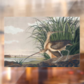 Audubon langsnavelige krulvogel raamsticker (Vel 2)