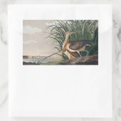 Audubon langsnavelige krulvogel rechthoekige sticker (Tas)