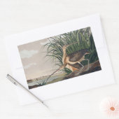 Audubon langsnavelige krulvogel rechthoekige sticker (Envelop)