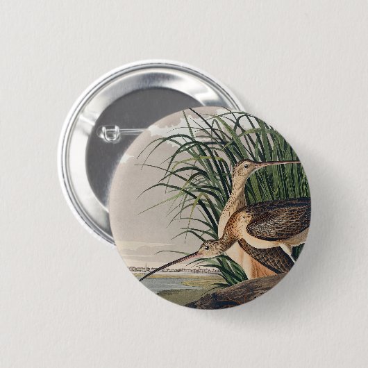 Audubon langsnavelige krulvogel ronde button 5,7 cm (Voorkant /achterkant)
