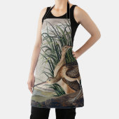 Audubon langsnavelige krulvogel schort (Insitu)