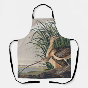 Audubon langsnavelige krulvogel schort