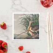 Audubon langsnavelige krulvogel servet (Insitu)