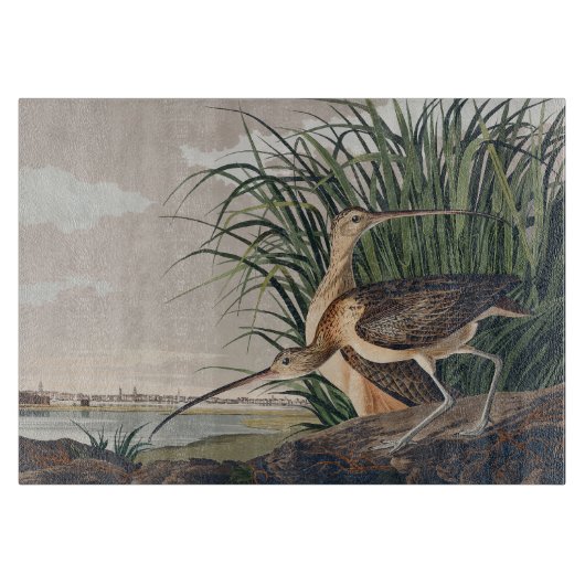 Audubon langsnavelige krulvogel snijplank (Voorkant)