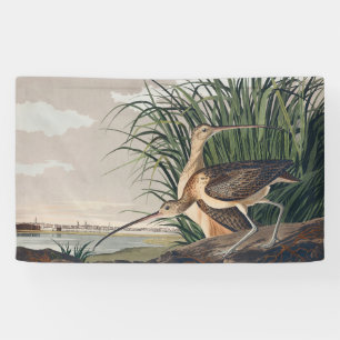 Audubon langsnavelige krulvogel spandoek
