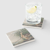 Audubon langsnavelige krulvogel stenen onderzetter (Zijkant)