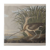 Audubon langsnavelige krulvogel tegeltje (Voorkant)