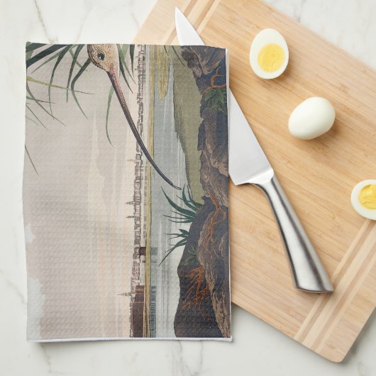 Audubon langsnavelige krulvogel theedoek (Quarter Fold)