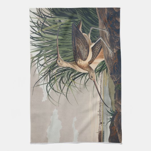 Audubon langsnavelige krulvogel theedoek (Verticaal)