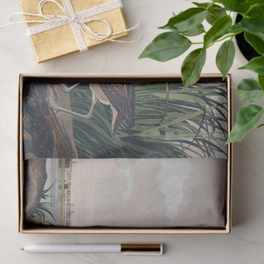 Audubon langsnavelige krulvogel tissuepapier (Geschenk)