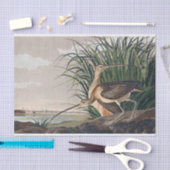 Audubon langsnavelige krulvogel tissuepapier (Craft)