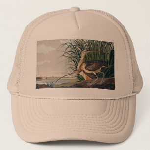 Audubon langsnavelige krulvogel trucker pet