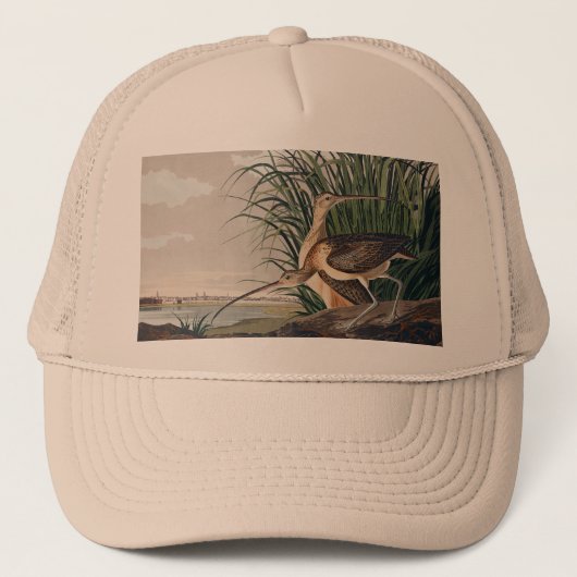 Audubon langsnavelige krulvogel trucker pet (Voorkant)