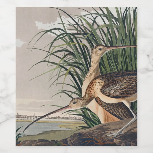 Audubon langsnavelige krulvogel wijn etiket (Enkel label)