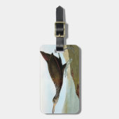 Audubon: Limpkin Bagagelabel (Voorkant verticaal)