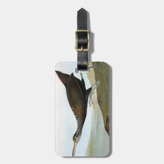 Audubon: Limpkin Bagagelabel (Voorkant verticaal)