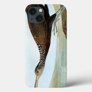 Audubon: Limpkin iPhone 13 Hoesje