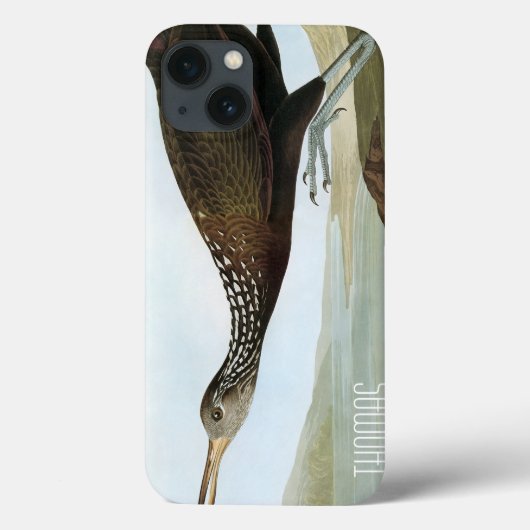 Audubon: Limpkin Case-Mate iPhone Case (Achterkant)