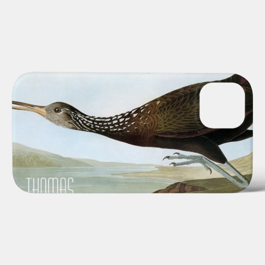 Audubon: Limpkin Case-Mate iPhone Case (Achterkant (horizontaal))