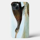 Audubon: Limpkin Case-Mate iPhone Case (Achterkant)