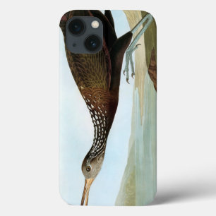 Audubon: Limpkin Case-Mate iPhone Case