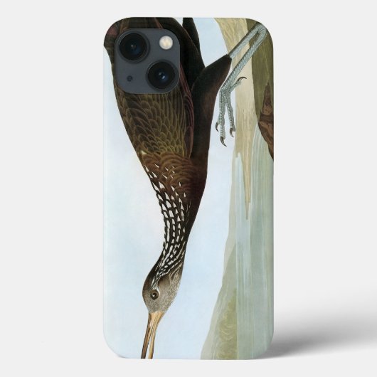 Audubon: Limpkin Case-Mate iPhone Case (Achterkant)