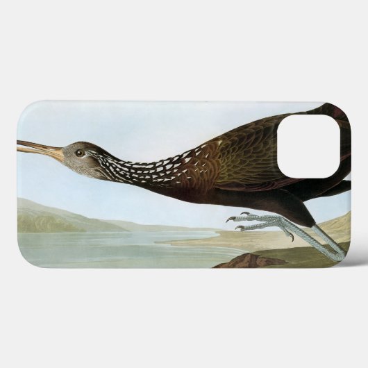 Audubon: Limpkin Case-Mate iPhone Case (Achterkant (horizontaal))