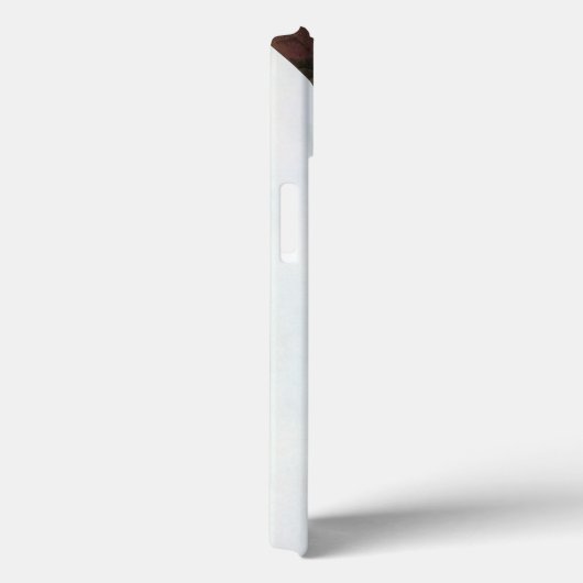 Audubon: Limpkin Case-Mate iPhone Case (Achterkant / Rechts)