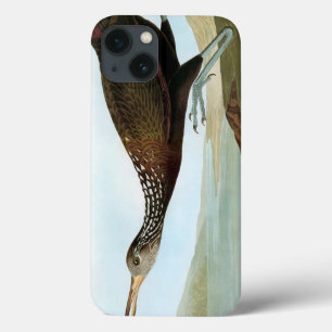Audubon: Limpkin Case-Mate iPhone Case