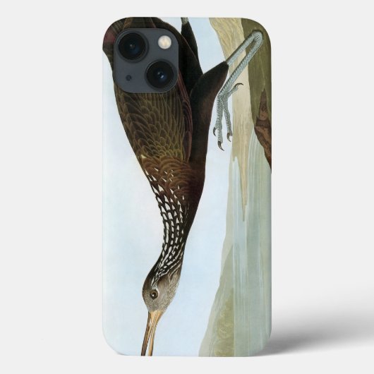 Audubon: Limpkin Case-Mate iPhone Case (Achterkant)
