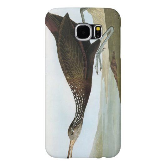 Audubon: Limpkin Case-Mate Samsung Galaxy Hoesje (Achterkant)