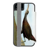 Audubon: Limpkin Incipio iPhone Portemonnee Hoesje (Agenda Achterkant)