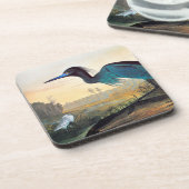 Audubon: Little Blue Heron Bier Onderzetter (Linkerzijde)